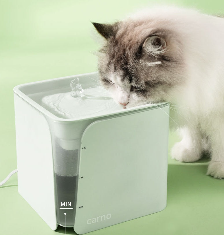 Automatic Circulating Water Fountain — Smart, Ultra-Quiet Pet Water Dispenser with Continuous Fresh Flow (2L Capacity)