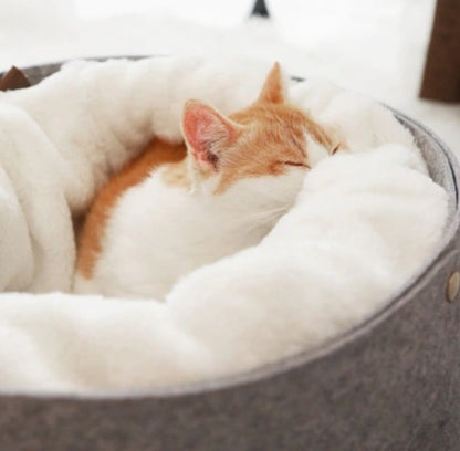 Ultra-Soft Detachable Pet Bed – Warm Windproof Cat & Puppy Nest (All-Season, Premium Comfort)