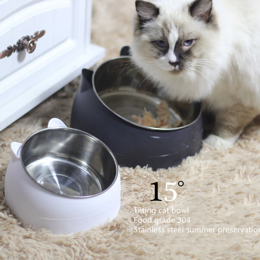 Ergonomic 15° Tilted Cat Bowl — Anti-Vomit, Joint-Friendly, and Made with Food-Grade Stainless Steel