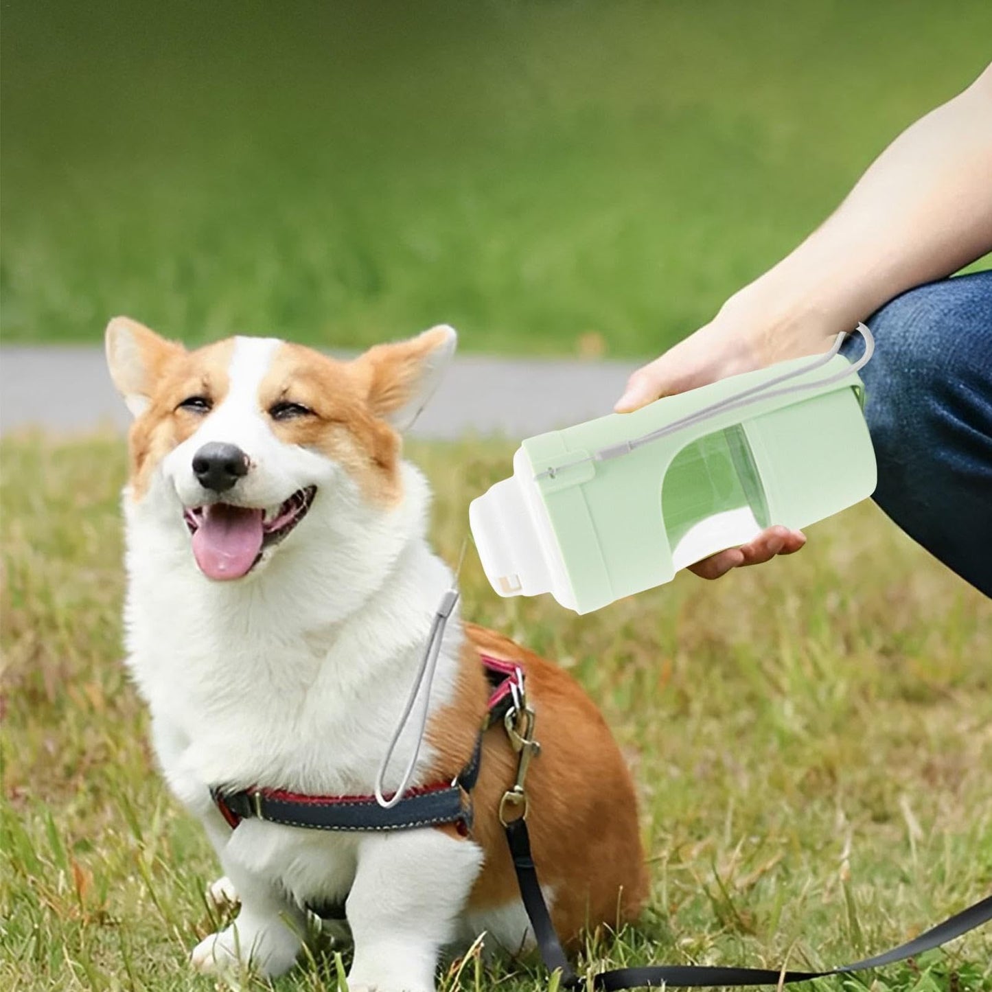 2-in-1 Travel Pet Water Bottle — Portable Water Dispenser + Food Cup for Dogs & Cats